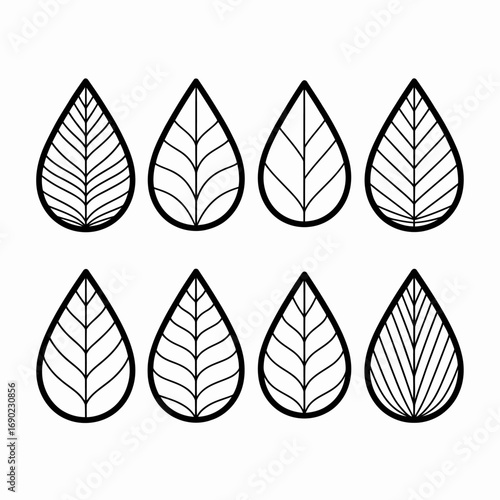 Eight stylized leaf icons are arranged in a grid, each with a unique internal vein pattern, outlined in black on a white background.