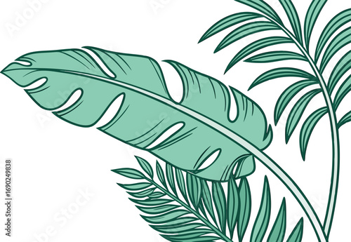 Vector art of tropical leaves illustration in shades of green, showcasing lush foliage and botanical elements in a minimalist design