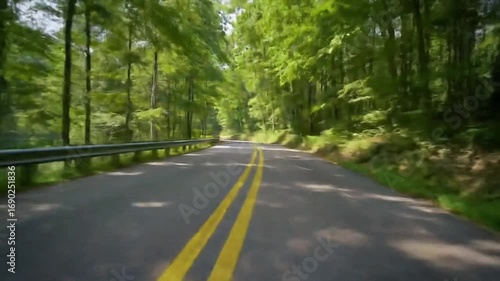  A first-person view of a car driving down a winding road through a dense, green forest.
