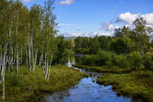 Autumn landscape with a small river and birches on the shore