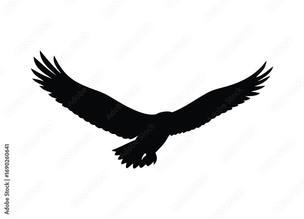 Obraz premium Majestic eagle silhouette in flight majestic bird of prey soaring aerial view symbol of freedom
