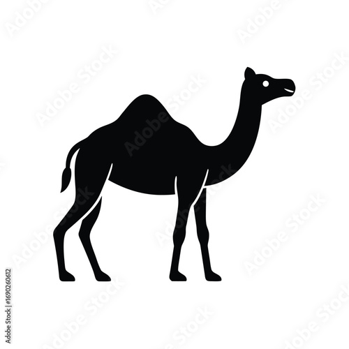 camel on a white