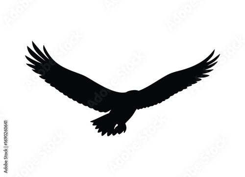 Majestic eagle silhouette in flight majestic bird of prey soaring aerial view symbol of freedom