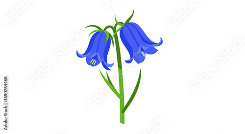 Foto Two bluebell flowers with green stems, vibrant and elegant.