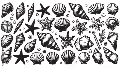 Collection of hand-drawn seashells, starfish, and aquatic elements