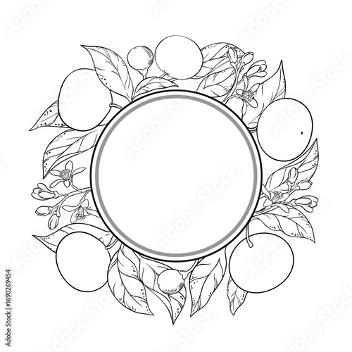 Mandarin Branch with Flowers, Fruits and Leaves Outline Frame. Outline Round Frame. Organic natural nutritional healthy food ingredient, vegetarian diet product. Vector isolated for design or decorati