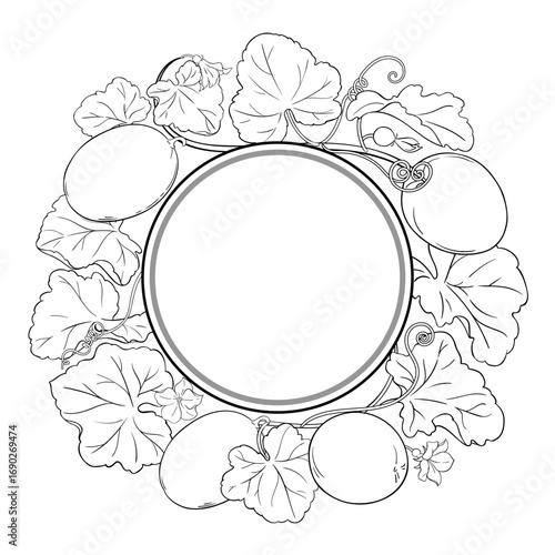 Melon Plant with Flowers, Fruits and Leaves Outline Round Frame. Organic natural nutritional healthy food ingredient, vegetarian diet product. Vector isolated for design or decoration.