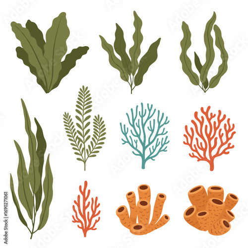 Oceanic flora and fauna diverse aquatic life forms found in marine ecosystems