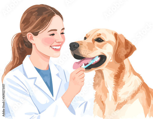 Veterinarian cleaning a golden retrievers teeth.