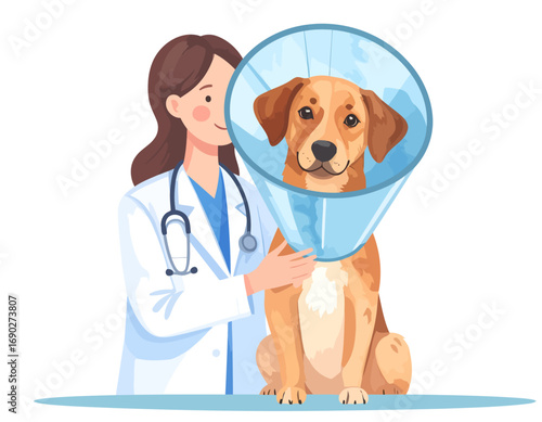 Veterinarian examining a dog wearing a protective cone collar.