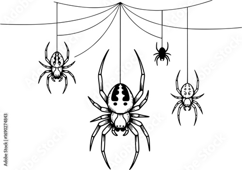 Hand drawn vector illustration of four distinct spiders suspended on threads in varying sizes and poses