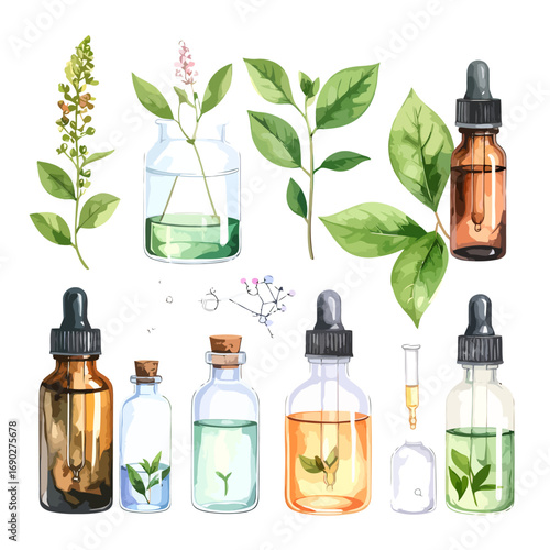watercolor painting of essential oil bottles and plants.