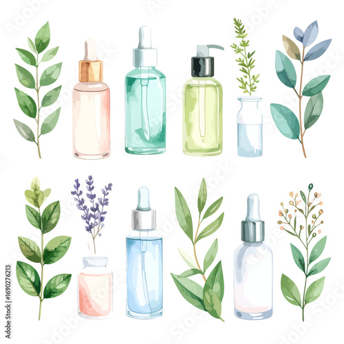 watercolor painting of various essential oil bottles.
