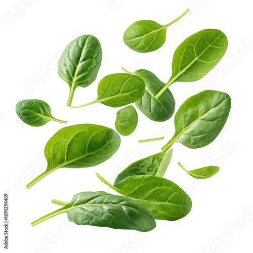 Fresh green spinach leaves falling isolated on transparent background