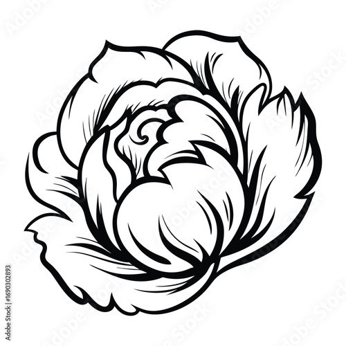 A simple black and white line drawing of an elegant peony flower stands beautifully