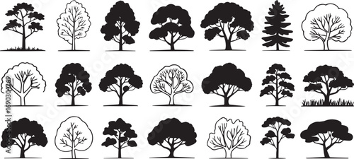 Set of black and white line art arboreal forms with various tree silhouettes, botanical illustrations for design and nature projects.