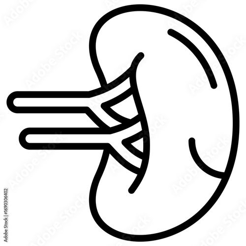 Kidney Outline Icon Design Vector - Illustration of human kidney with renal vessels, symbolizing urinary system and nephrology