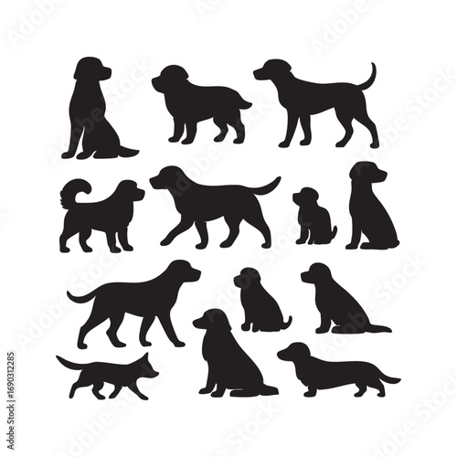 Silhouette of a bird in black on plain white background design