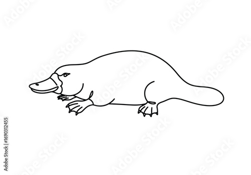 Platypus drawing. A simple line art sketch of a platypus, a unique semi-aquatic mammal from Australia, known for its duck-like bill, webbed feet, and beaver-like tail. Vector sketch line art draw.