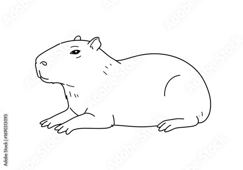 Capybara drawing. It is a line art drawing of a capybara, a large rodent known for its calm demeanor, semi-aquatic lifestyle, and friendly nature. Vector sketch line art draw.
