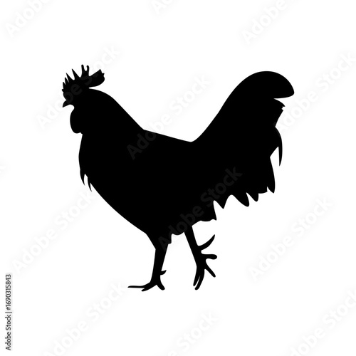 Vector black silhouette of a rooster on a white background