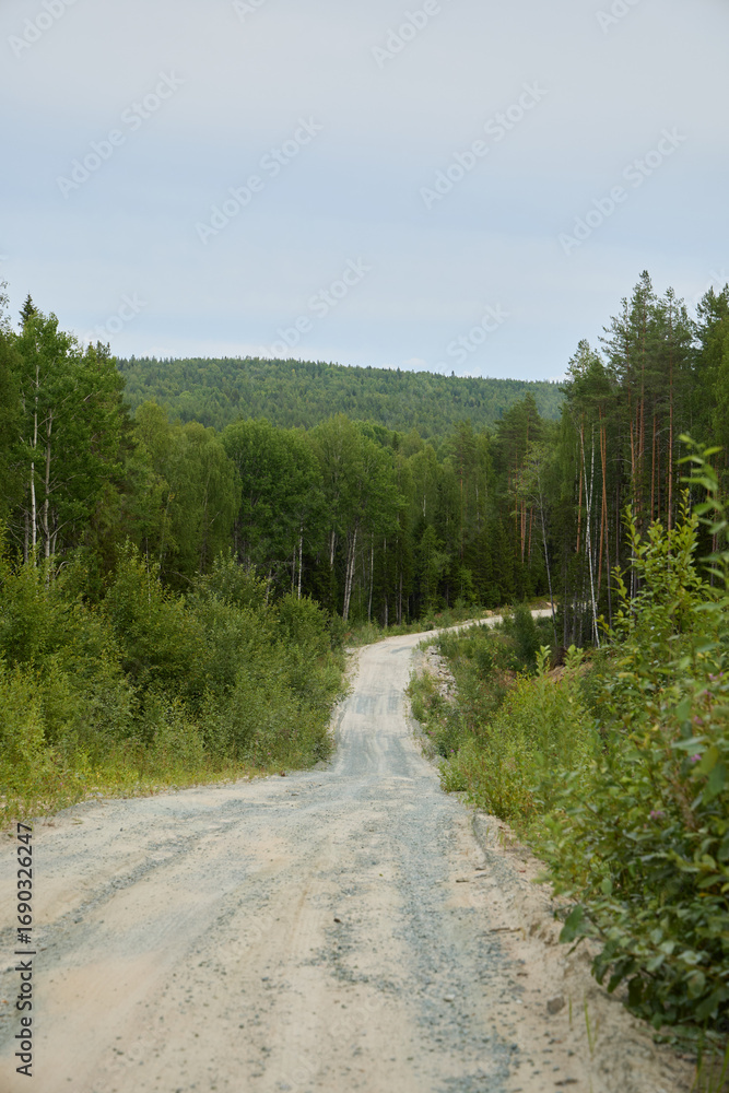 Obraz premium A Serene Winding Dirt Road Meanders Through A Lush Green Forest Beautiful Landscape