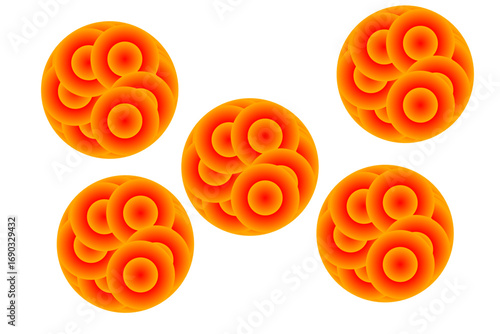 Five abstract orange discs with circular patterns and concentric rings are arranged against a white background. Each disc features gradients of orange and yellow, creating a sense of depth and dimensi