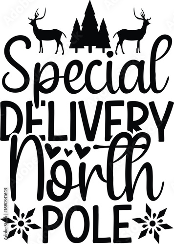 Special Delivery North Pole