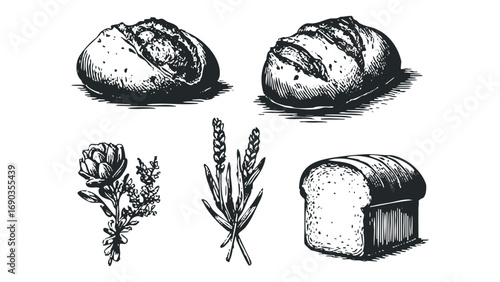 Hand Drawn Bakery Elements Transparent Background. Vector hand drawn illustration