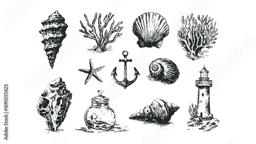 Collection of Nautical Implements and Seashells on Transparent Background. Vector hand drawn illustration