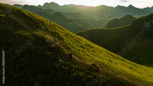 Slika na platnu Dawn on the high mountain peaks of Ha Lang area, with pack horses and people going to work