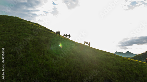 Slika na platnu Dawn on the high mountain peaks of Ha Lang area, with pack horses and people going to work