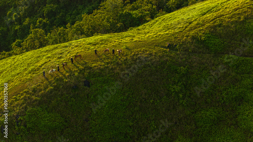 Slika na platnu Dawn on the high mountain peaks of Ha Lang area, with pack horses and people going to work