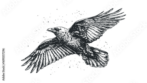Detailed ink drawing of a raven in flight on transparent. Vector hand drawn illustration