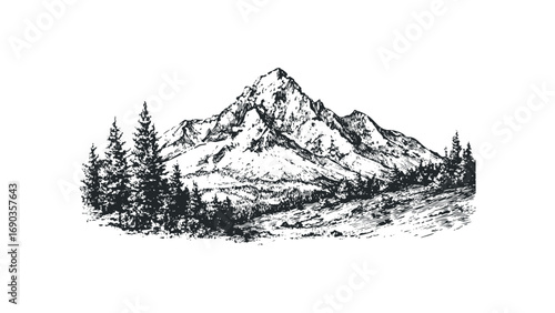 Penciled Mountain Peaks and Evergreen Trees. Vector hand drawn illustration