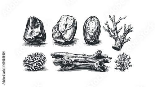 Collection of Natural Objects Drawn on Transparent Background. Vector hand drawn illustration