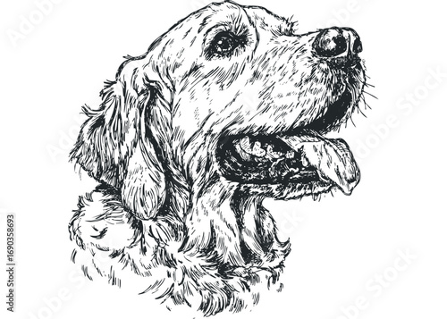 Sketch of a happy dog with its tongue out,. Vector hand drawn illustration