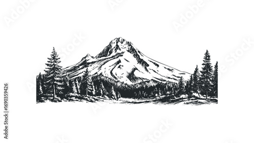 Mountain peak with pine forest, hand drawn sketch, transparent. Vector hand drawn illustration