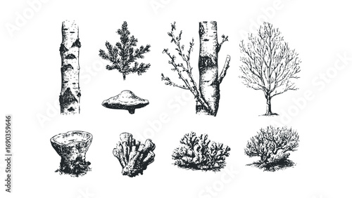 Collection of Hand Drawn Forest Elements and Trees. Vector hand drawn illustration