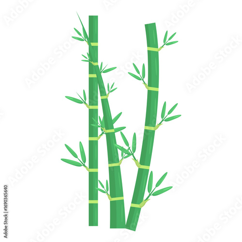 Lush green bamboo stalks with vibrant leaves against a clean white background, symbolizing nature