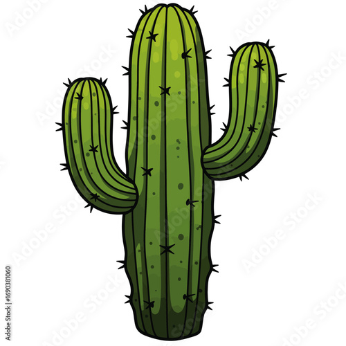 Cactus vector illustration of a fresh green plant isolated on white background resembling a vegetable design
