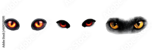 Set of a collection of glowing predator eyes, isolated on a transparent background.