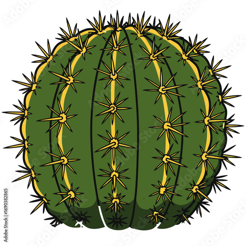 cactus vector illustration