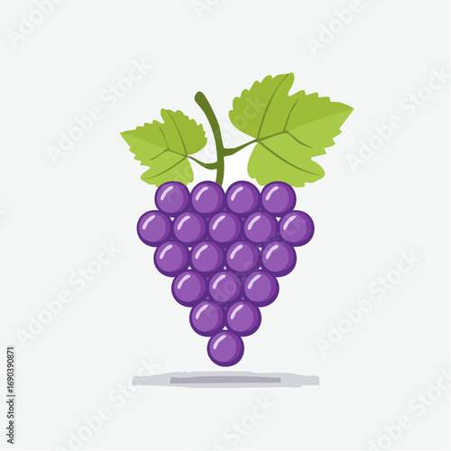 Purple Grapes Cluster On White Background