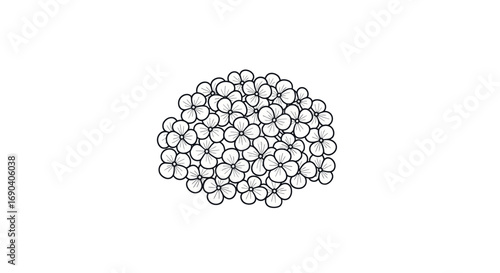 A Cluster of Small, Round, White Spheres in a Dense Group.