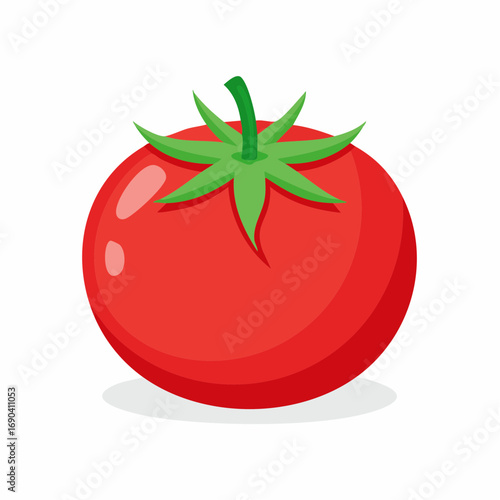 Red Tomato Illustration