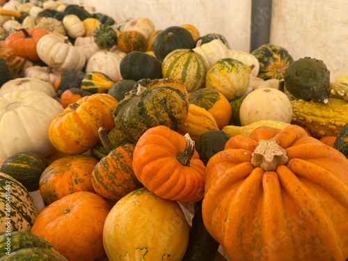 Seasonal Autumn Harvest of Decorative Gourds and Pumpkins for Fall Decor