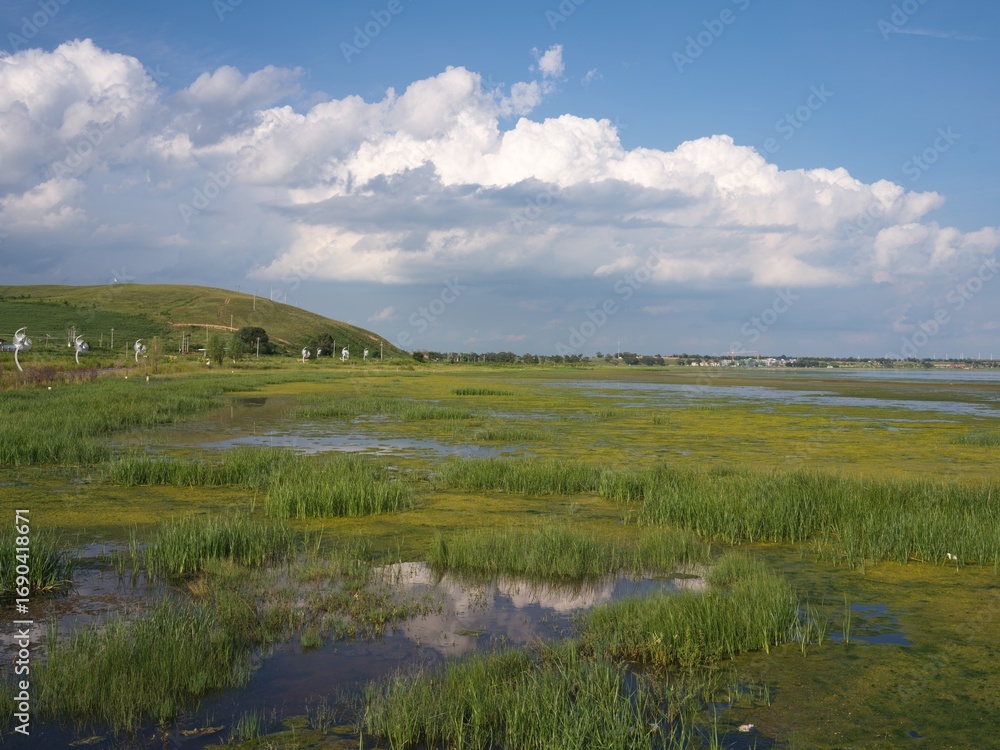 Fototapeta premium landscape with river
