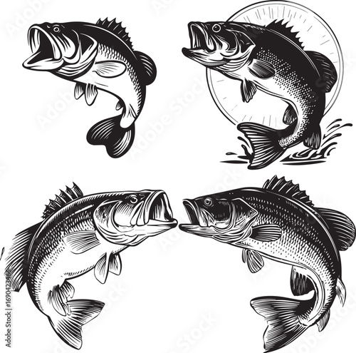 Black and white silhouette of a freshwater bass fish jumping simple design silhouette
