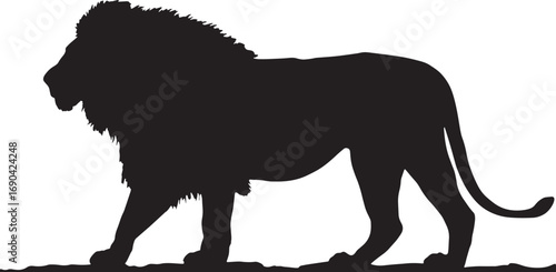 Majestic lion silhouette on white background